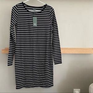 Ribbed Long Sleeve Dress